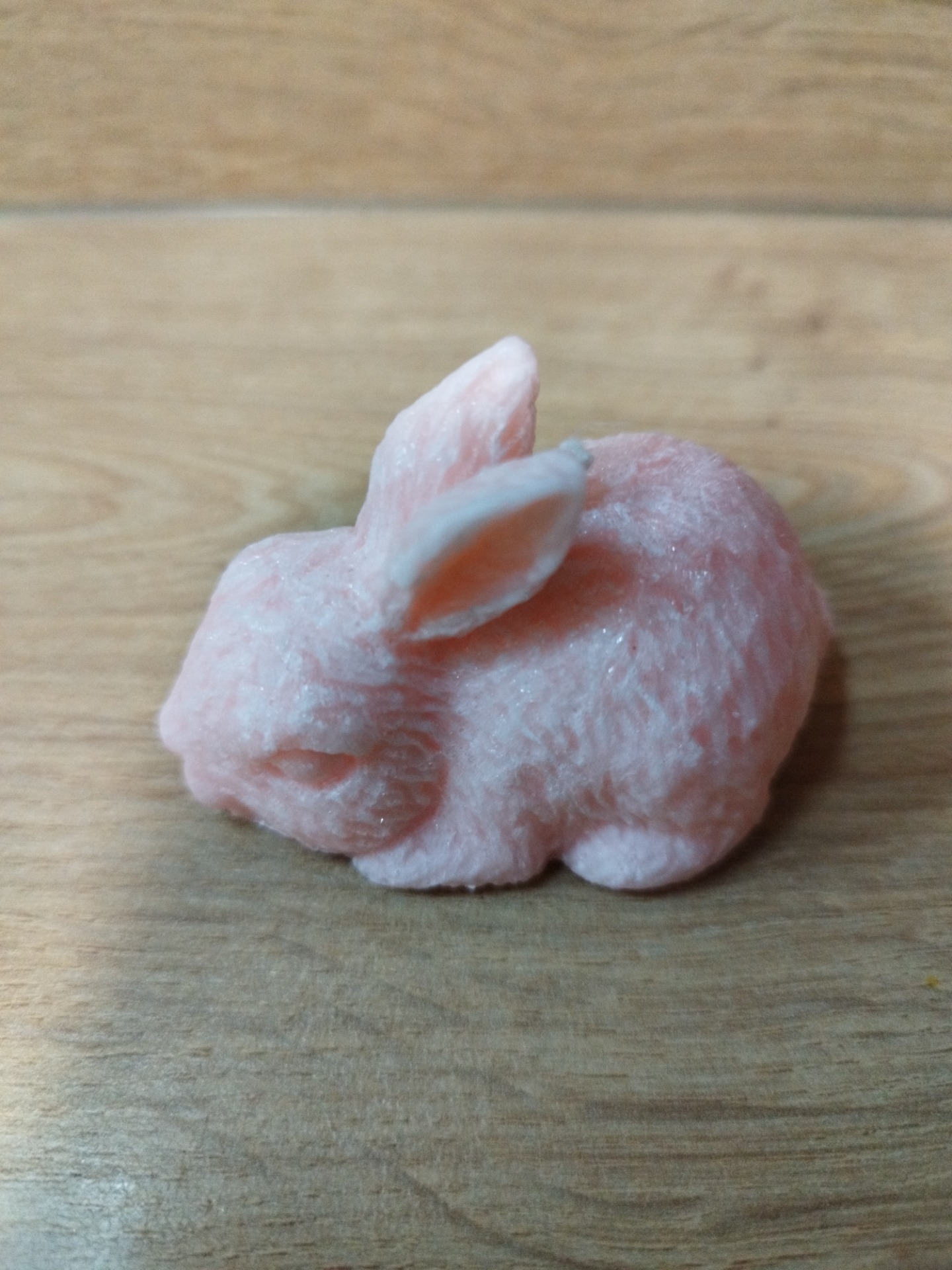 Králík         25 Kč 